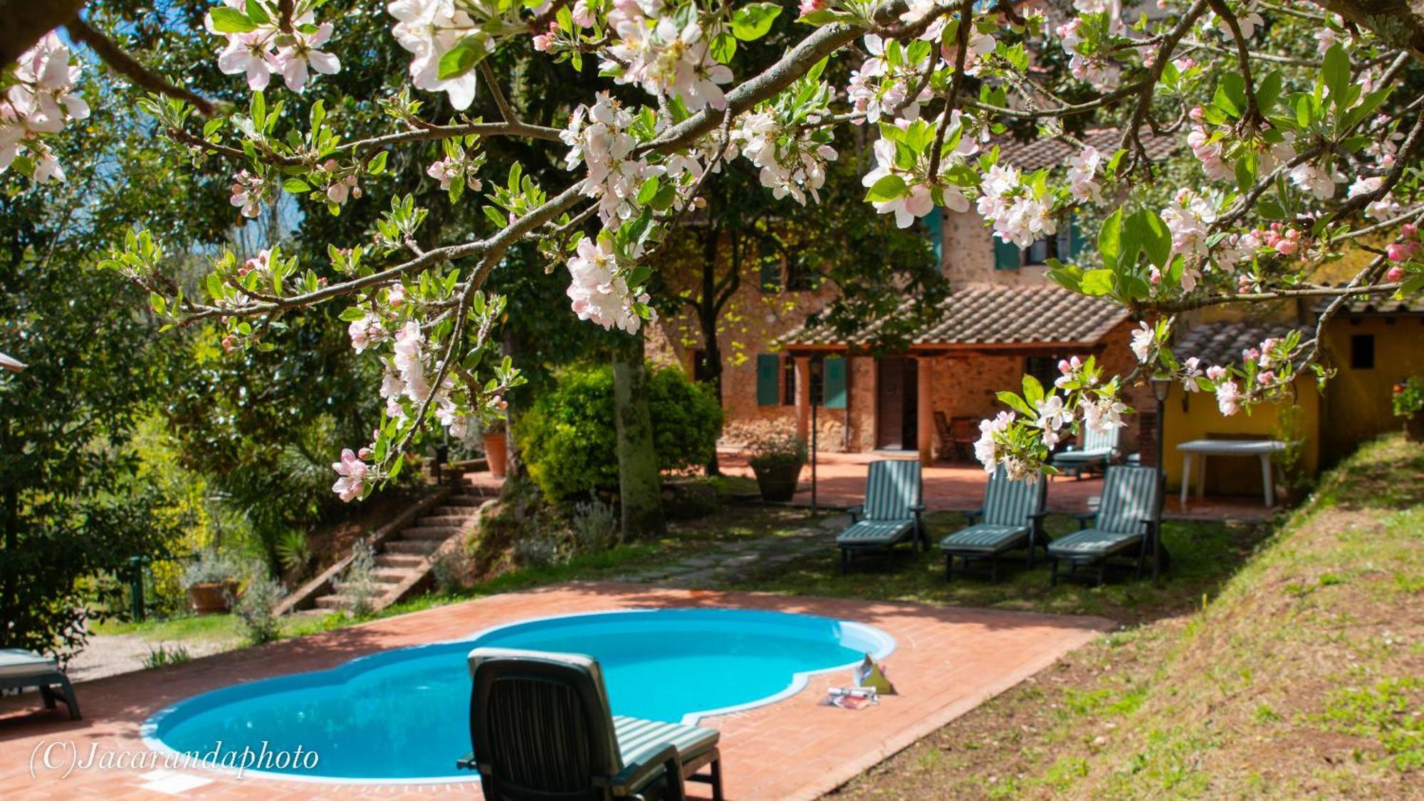 Villa La Pieve Camaiore Exteriör bild